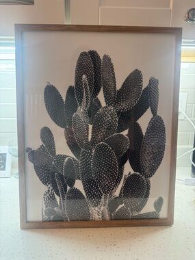Target: Black & White Cactus Botanical Wall Art - Framed Print
